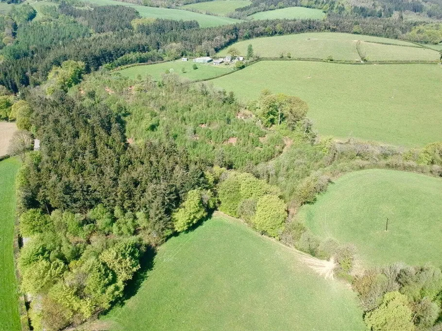 Buckland Filleigh, Beaworthy, EX21, photo 32