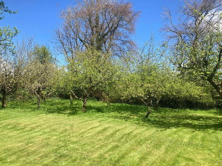Buckland Filleigh, Beaworthy, EX21, photo 34