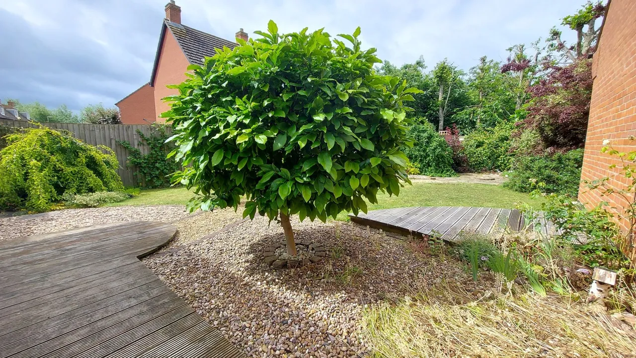 Windle Drive, Bourne, PE10, photo 32