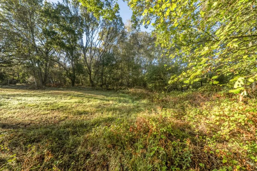 Newtown Common, Newbury, RG20, photo 4