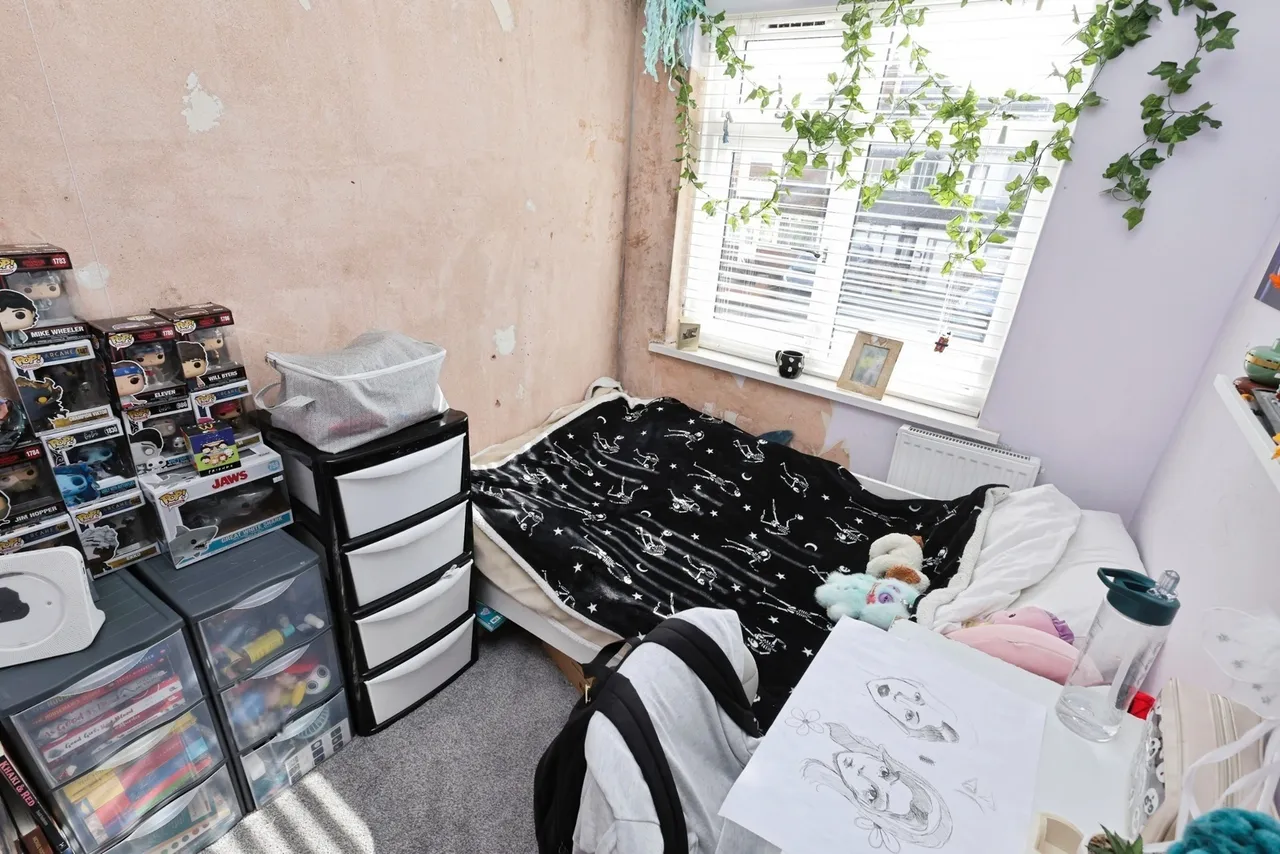 Torre Avenue, Birmingham, B31, photo 14