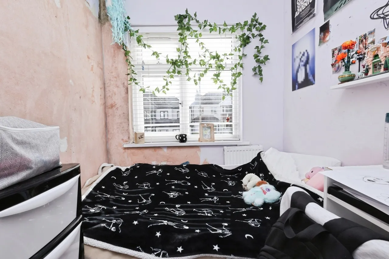 Torre Avenue, Birmingham, B31, photo 19