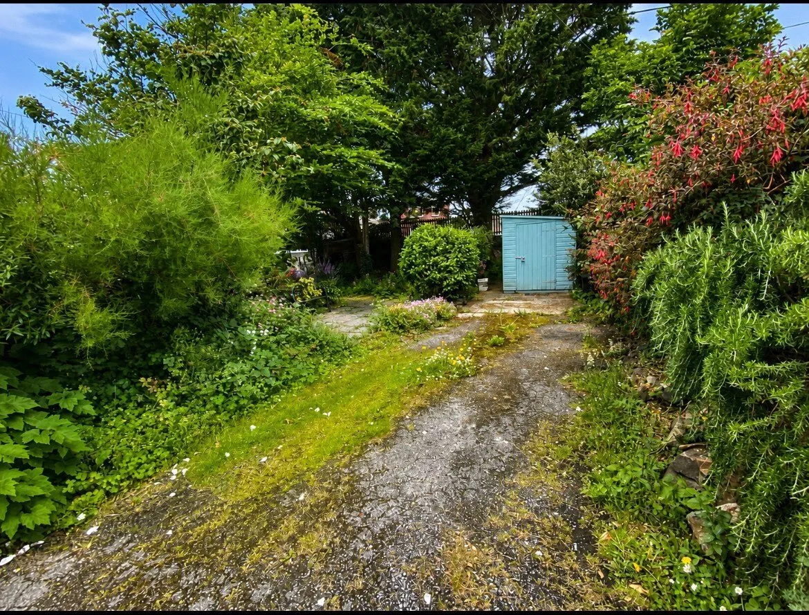 Pen Wallis, Fishguard, SA65, photo 11