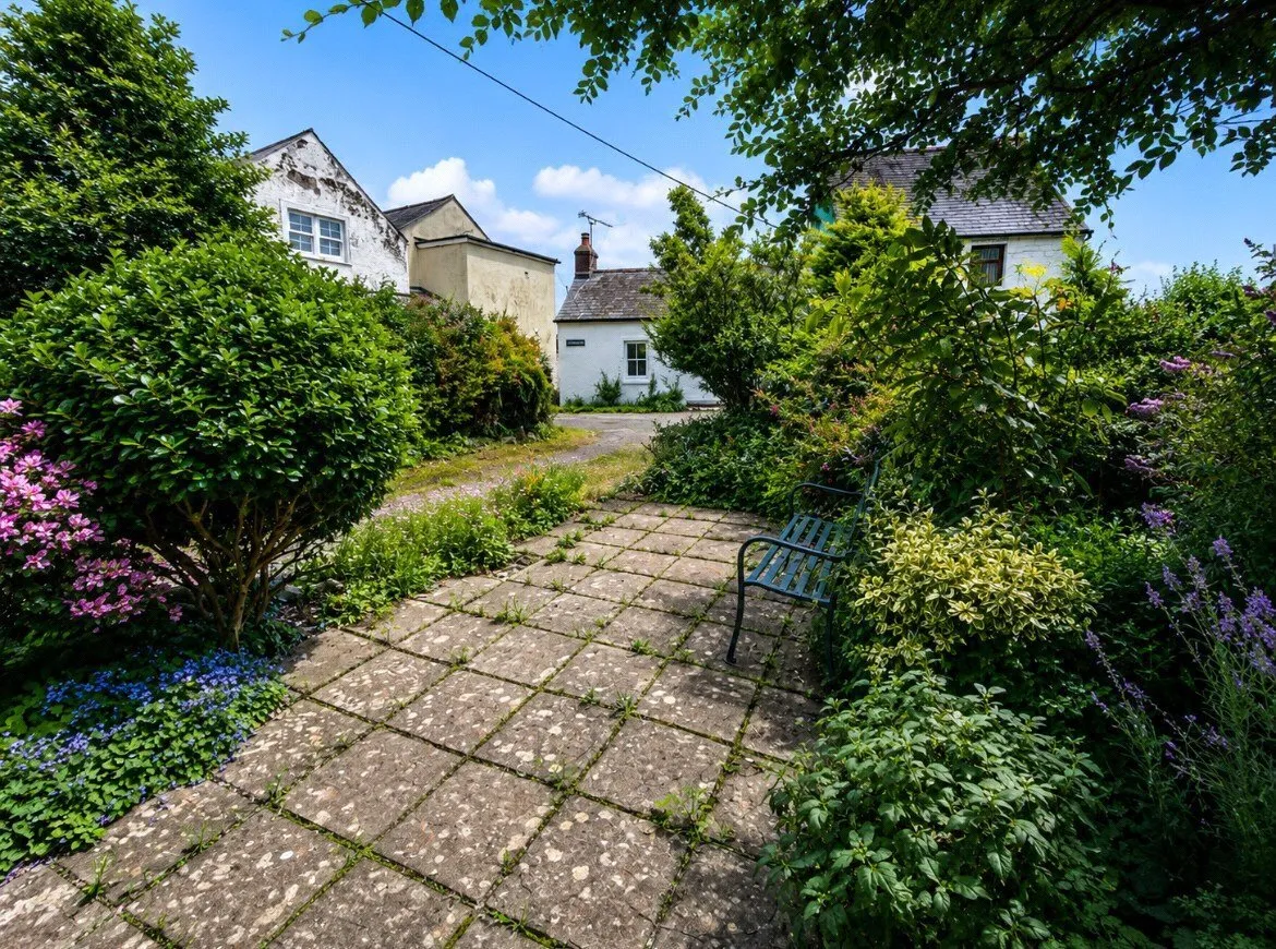 Pen Wallis, Fishguard, SA65, photo 14