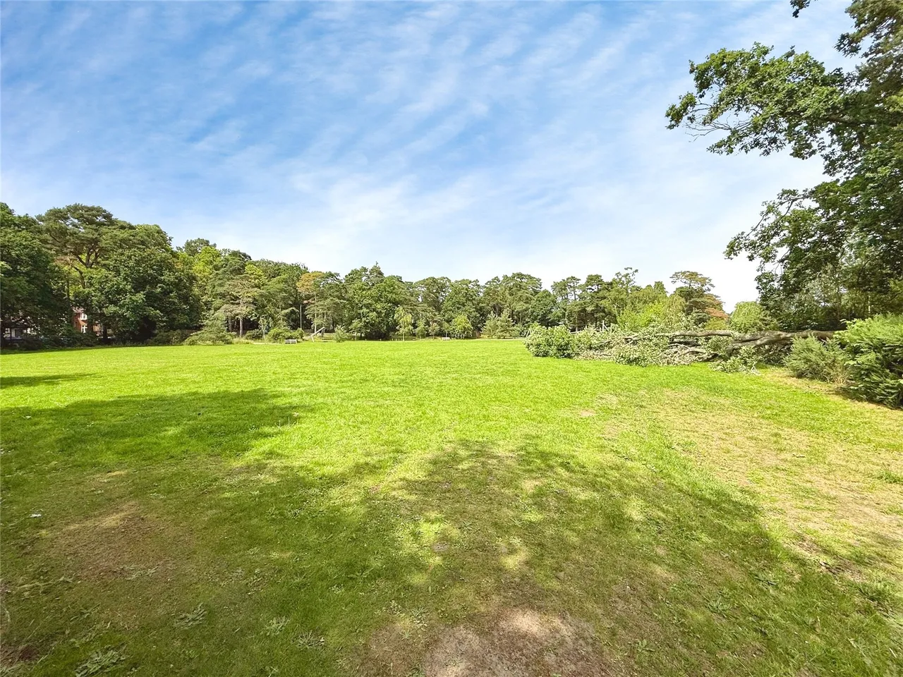 Brunswick Road, Deepcut, Camberley, Surrey, GU16 6FE, photo 7