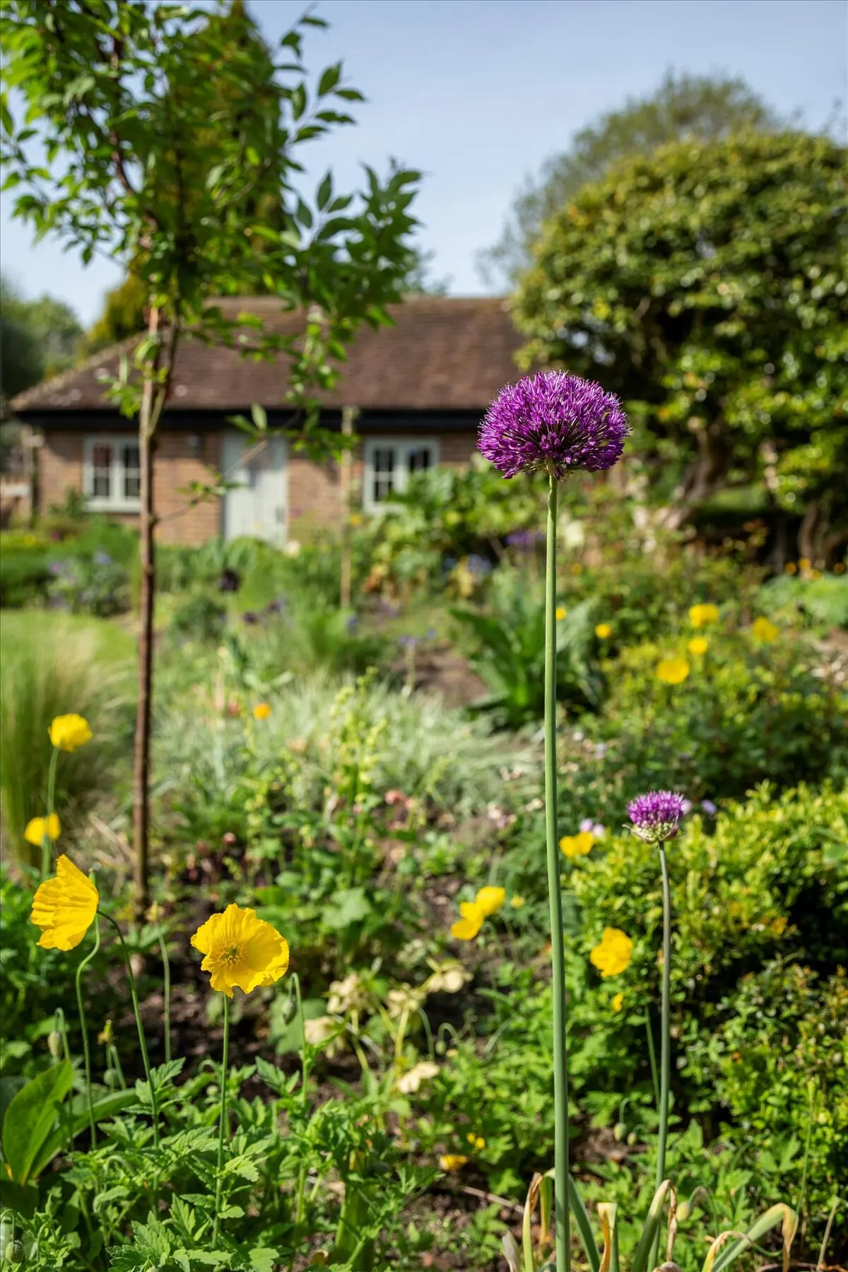 Bowlhead Green, Godalming, GU8, photo 21