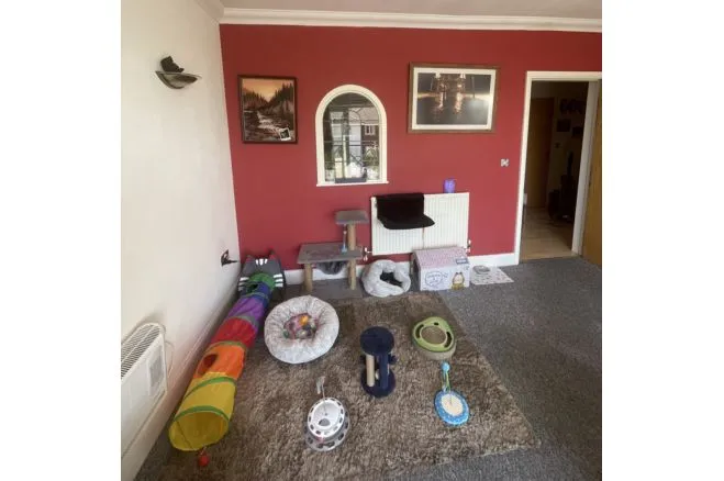 Dominica Court, Eastbourne, BN23, photo 10