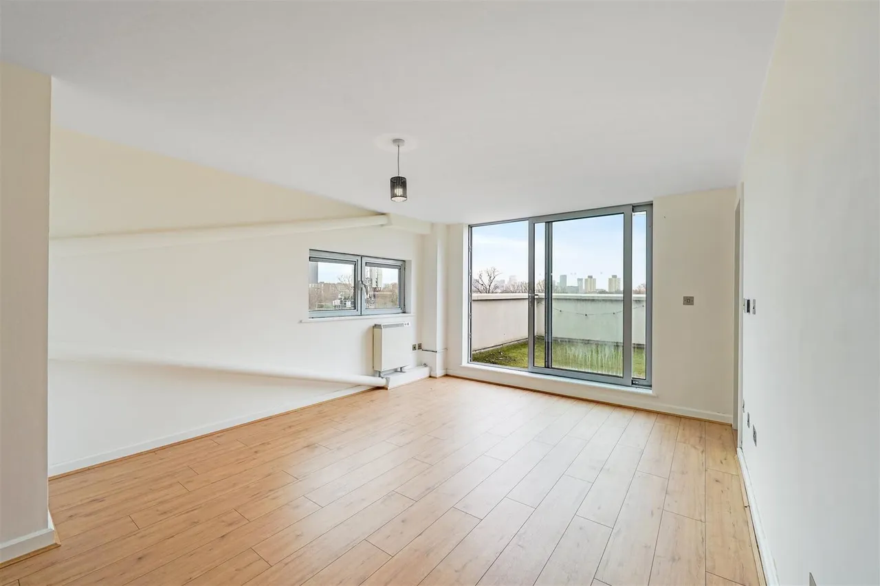 Hermit Road, Canning Town, E16, photo 8