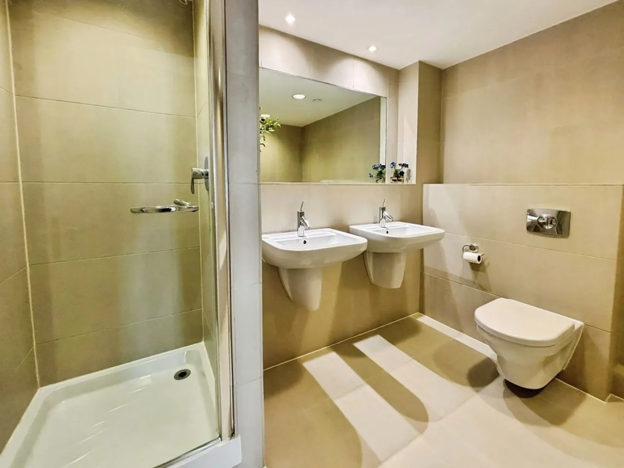 Penthouse, Bridgewater Place, photo 8