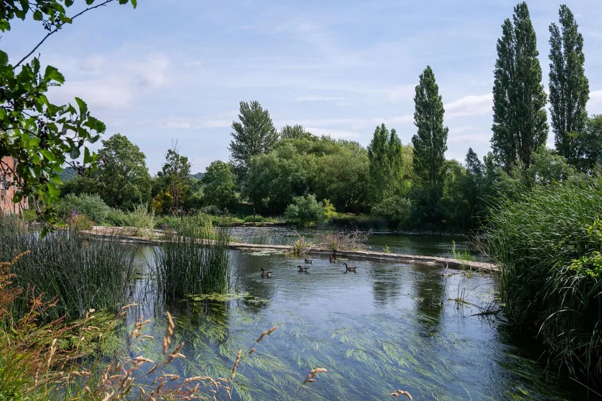 Mill Bank, Fladbury, WR10, photo 27