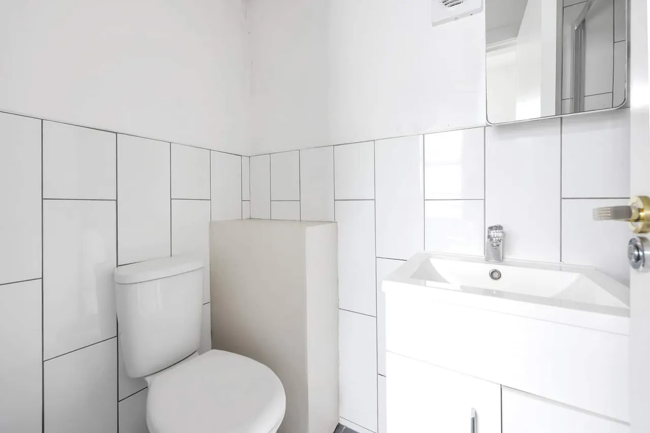 22 Primrose Road, London, E10 5ED, photo 6