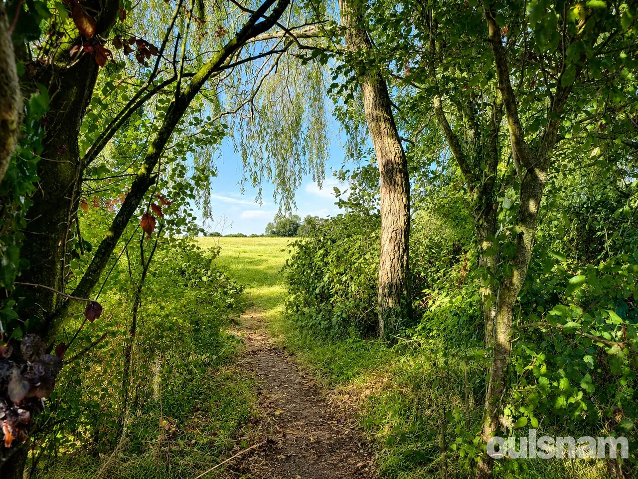 Smite Hill, Hindlip, Worcester, Worcestershire, WR3 8SY, photo 53