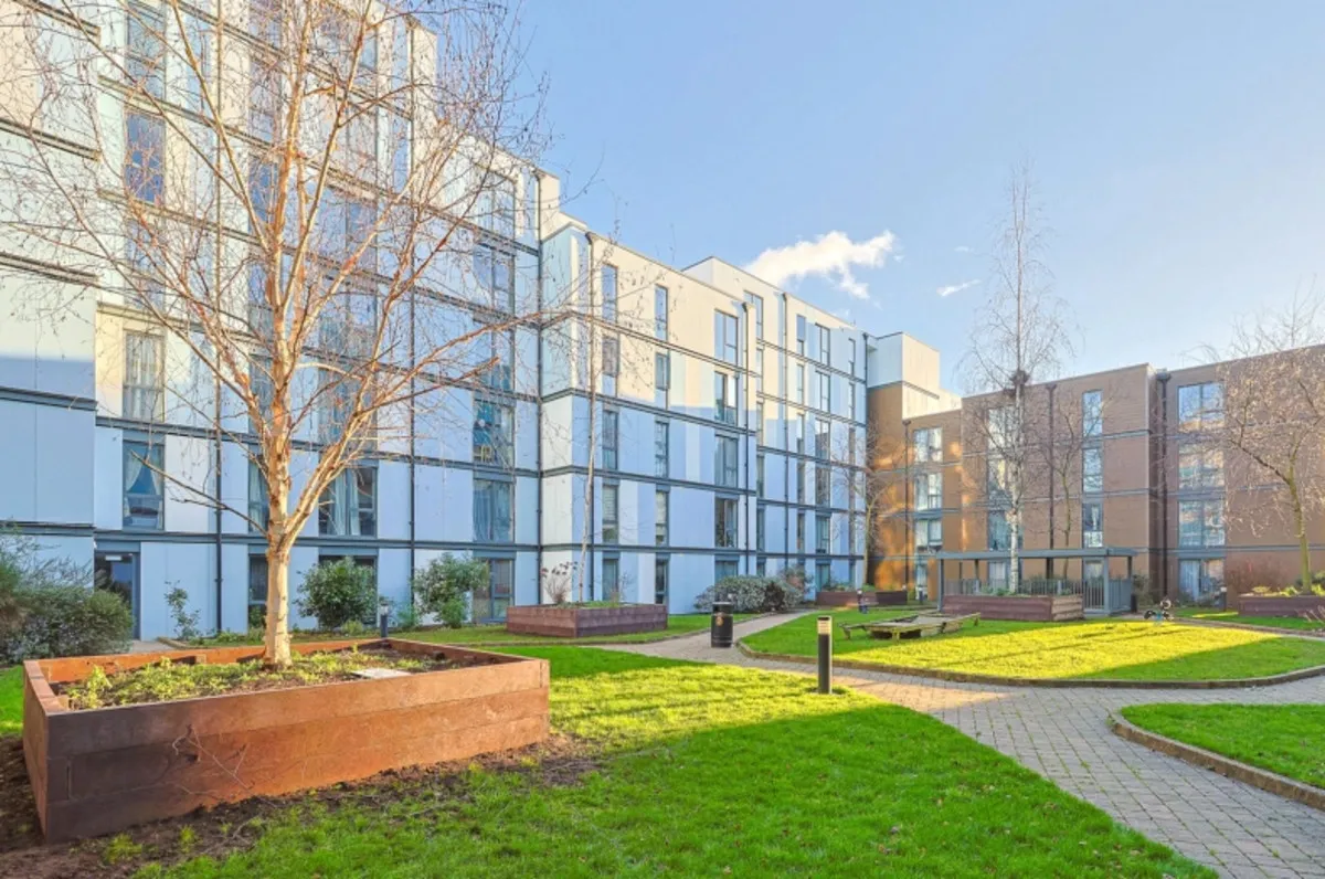 Conrad Court, Colindale, NW9, photo 11