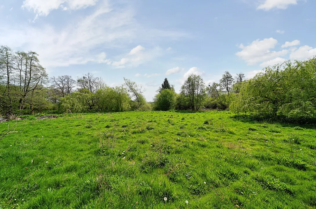 House with Annexe and Land, Adleymoor, Craven Arms, photo 20