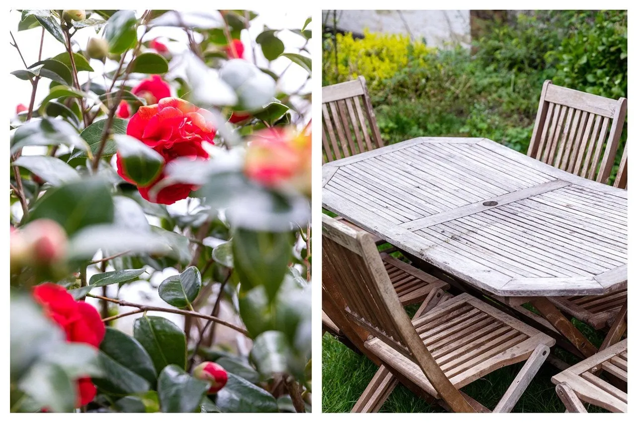 St. Johns Grove, Richmond, TW9, photo 13