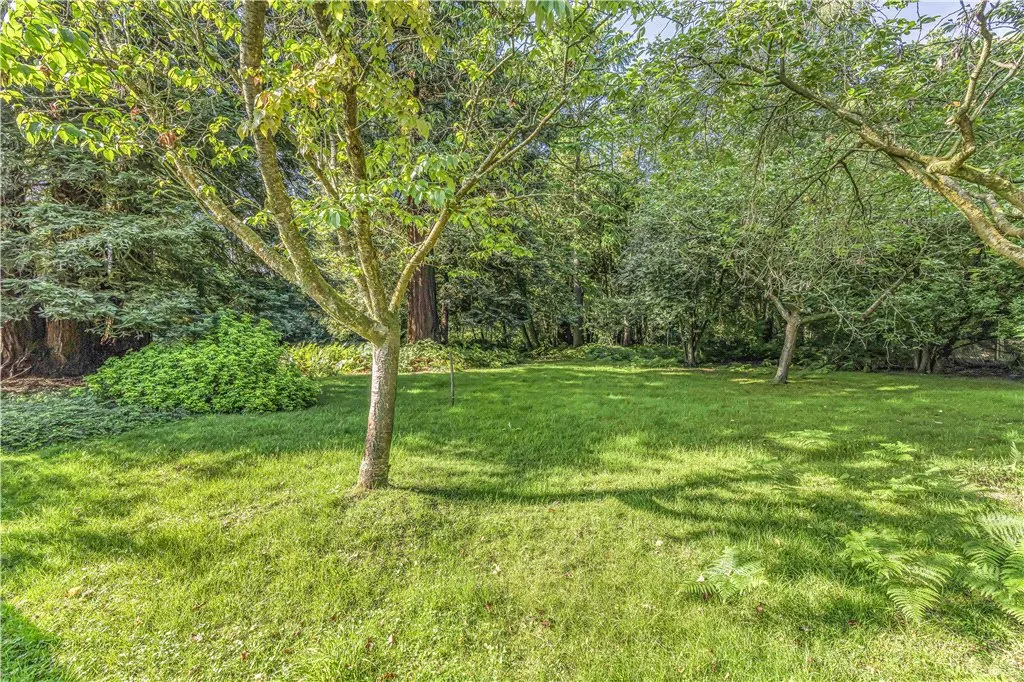 Ascot Wood, Station Hill, SL5, photo 5