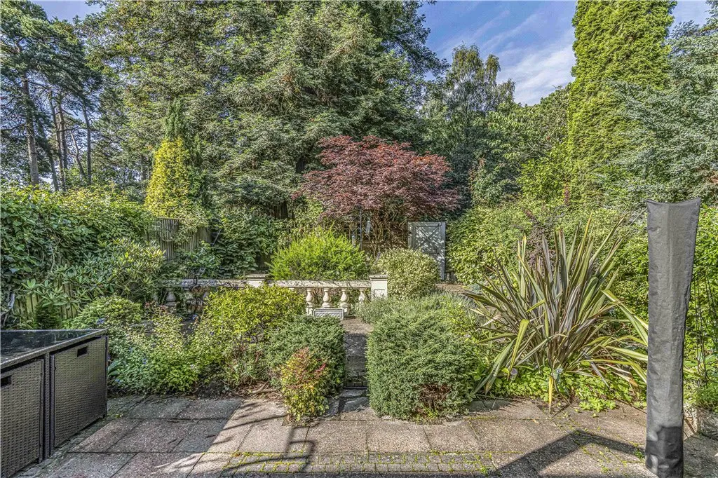 Ascot Wood, Station Hill, SL5, photo 24