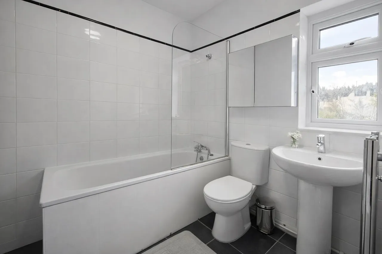 Richford Road, London, E15 3PQ, photo 17