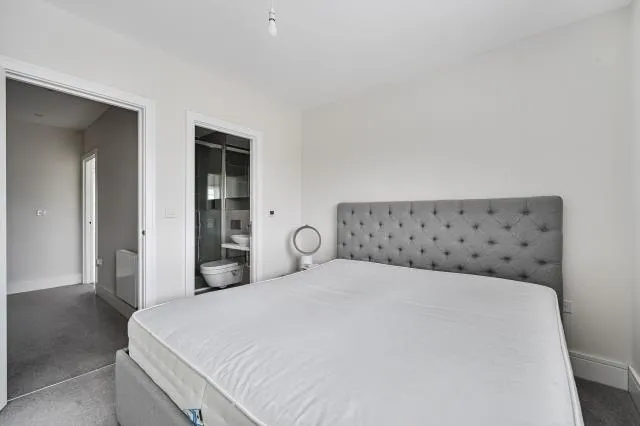 Champlain Street, Reading, RG2, photo 10