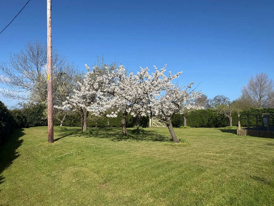 Cwm, Rhuddlan, Rhuddlan, Denbighshire, LL18 5RY, photo 4