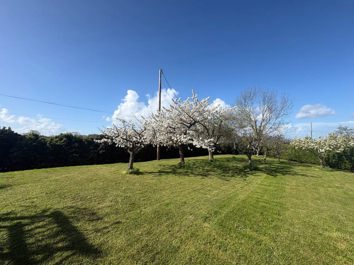 Cwm, Rhuddlan, Rhuddlan, Denbighshire, LL18 5RY, photo 2