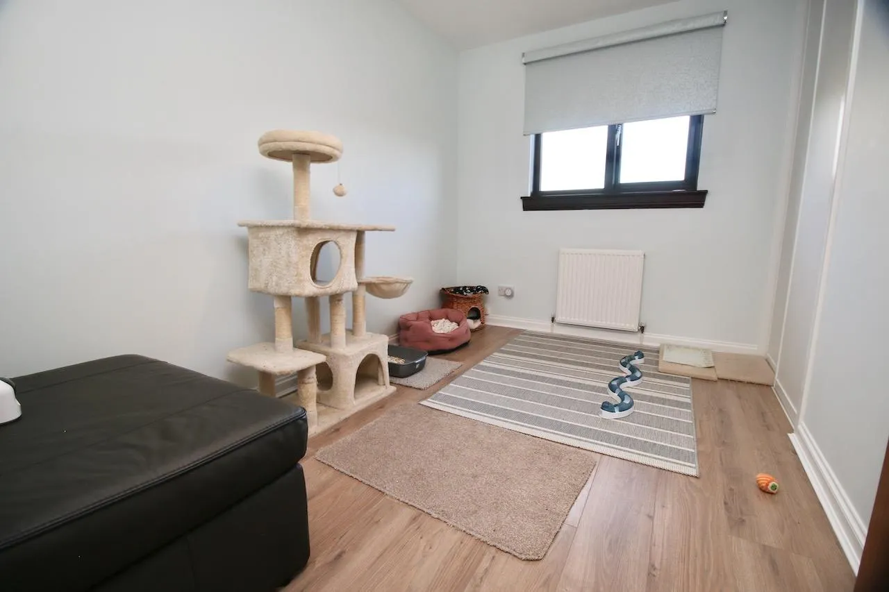 Southerness Drive, Cumbernauld, G68 0HU, photo 22