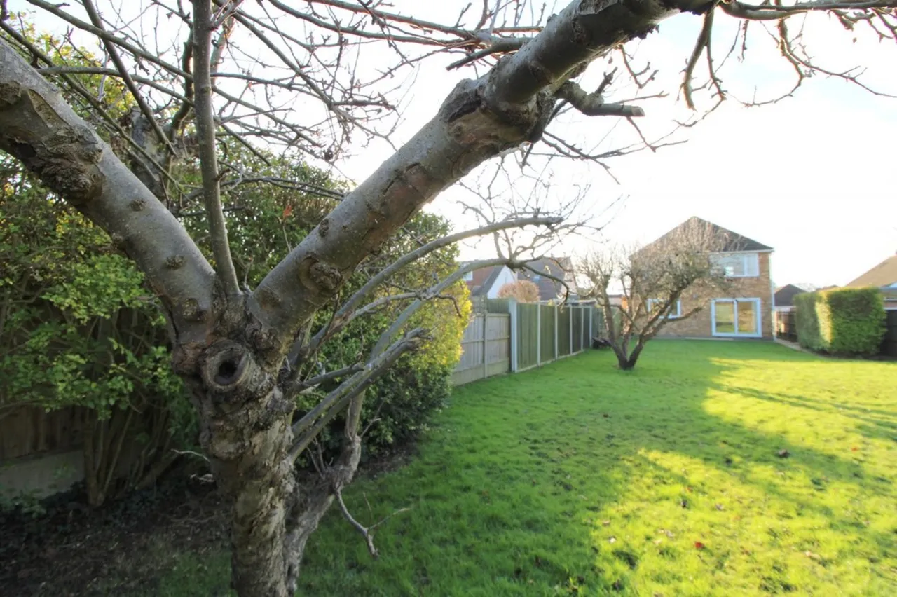 Ripston Road, Ashford, photo 9