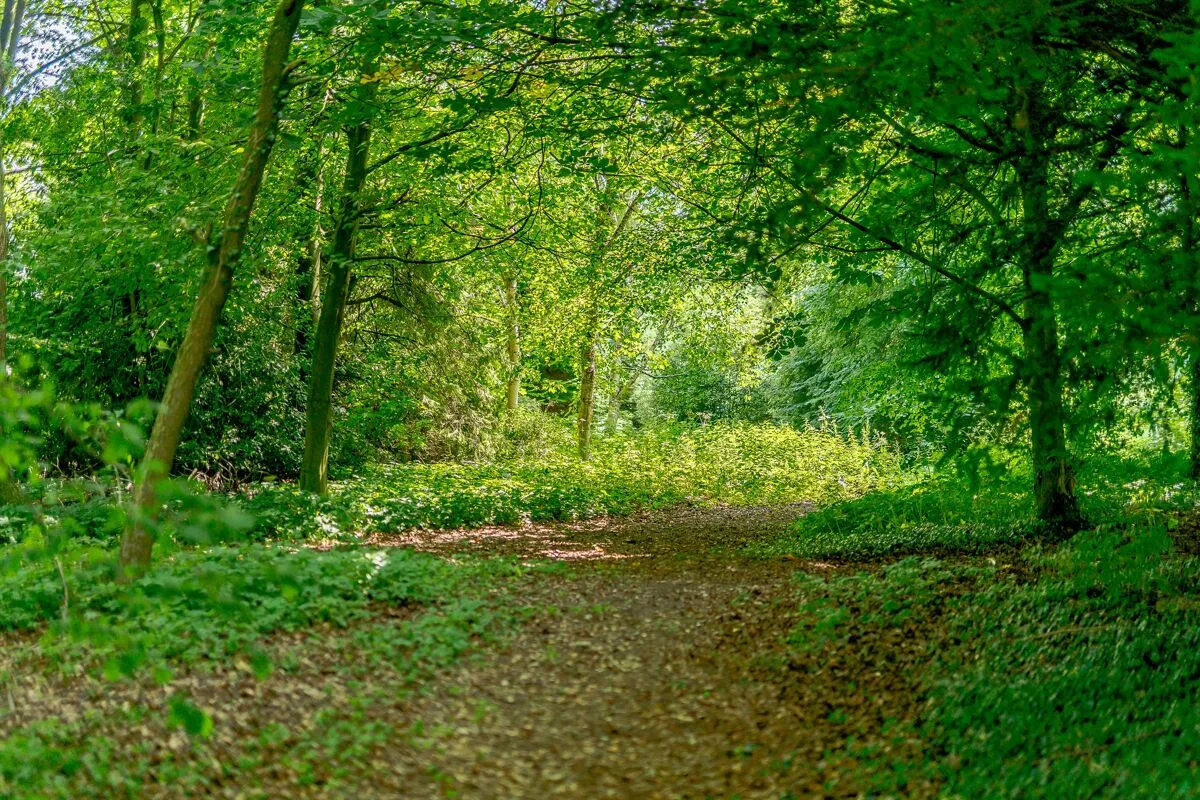 Milbourne, Newcastle upon Tyne, NE20, photo 32