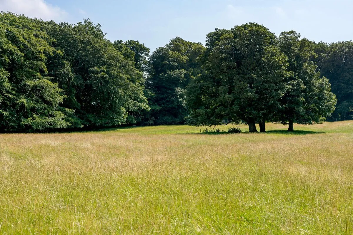 Milbourne, Newcastle upon Tyne, NE20, photo 30