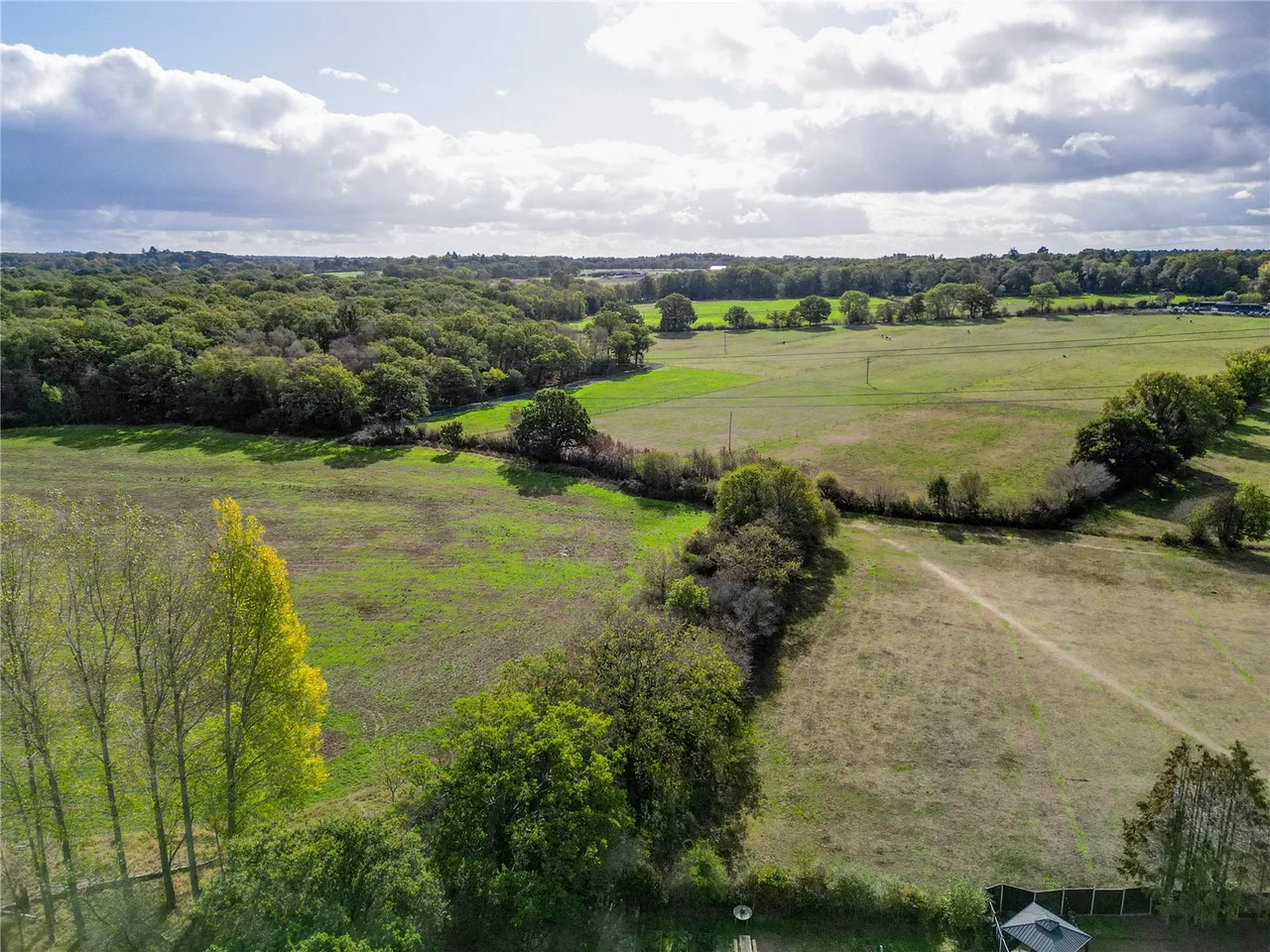 Kingsley Road, Eversley, RG27, photo 25