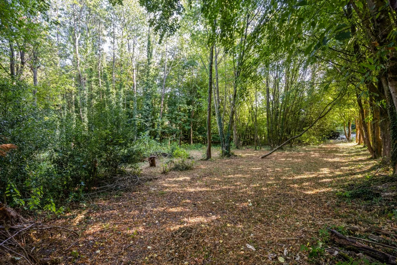 Priory Road, Forest Row, RH18, photo 24