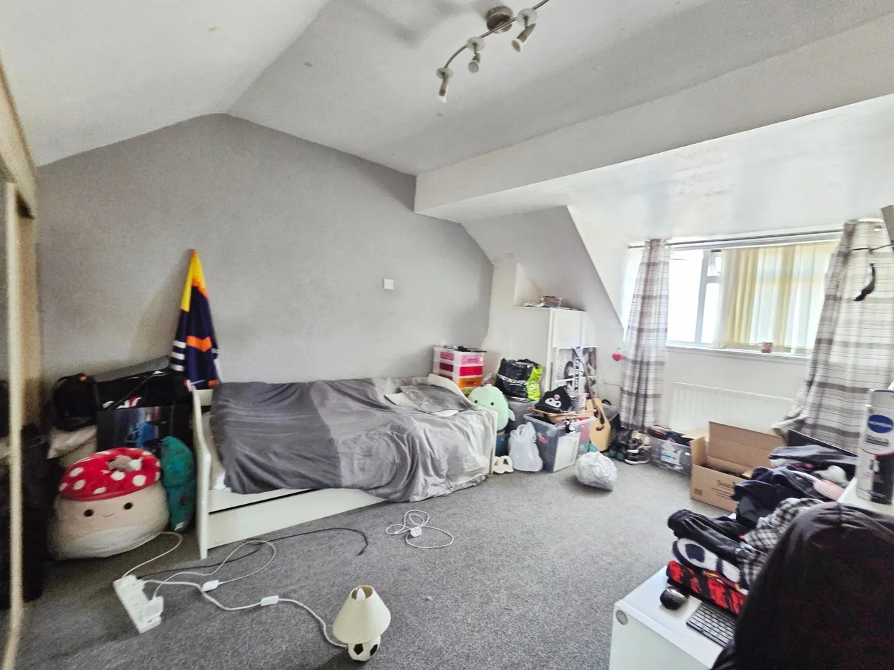 Barnsley Road, Rotherham, S63, photo 10