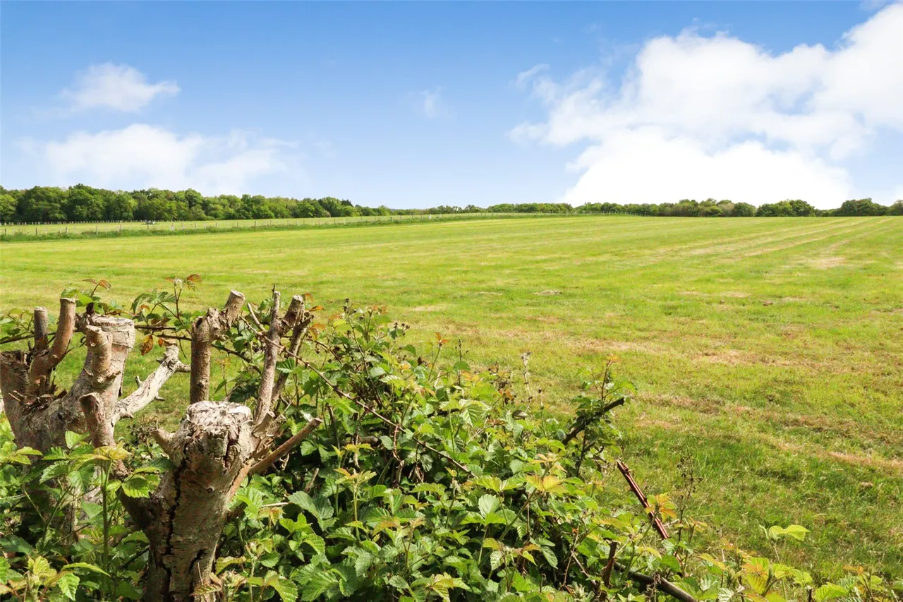 The Street, Crookham Village, Fleet, Hampshire, GU51 5SG, photo 4