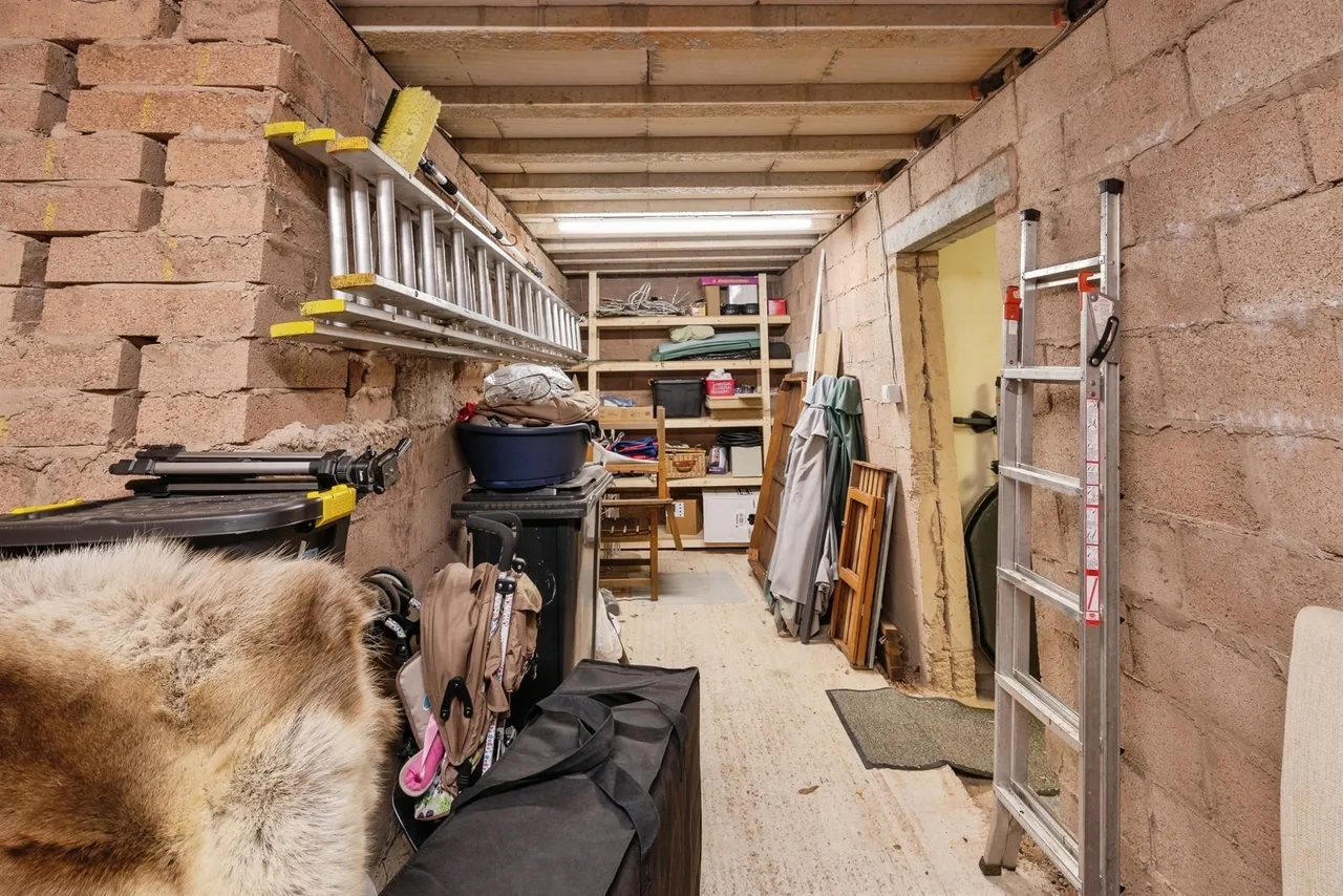 Ashley Rise, Ashley, EX16, photo 14