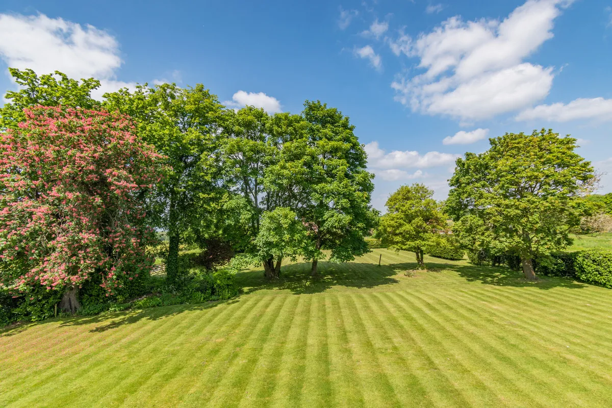 Ripley Road, East Clandon Guildford, GU4, photo 21