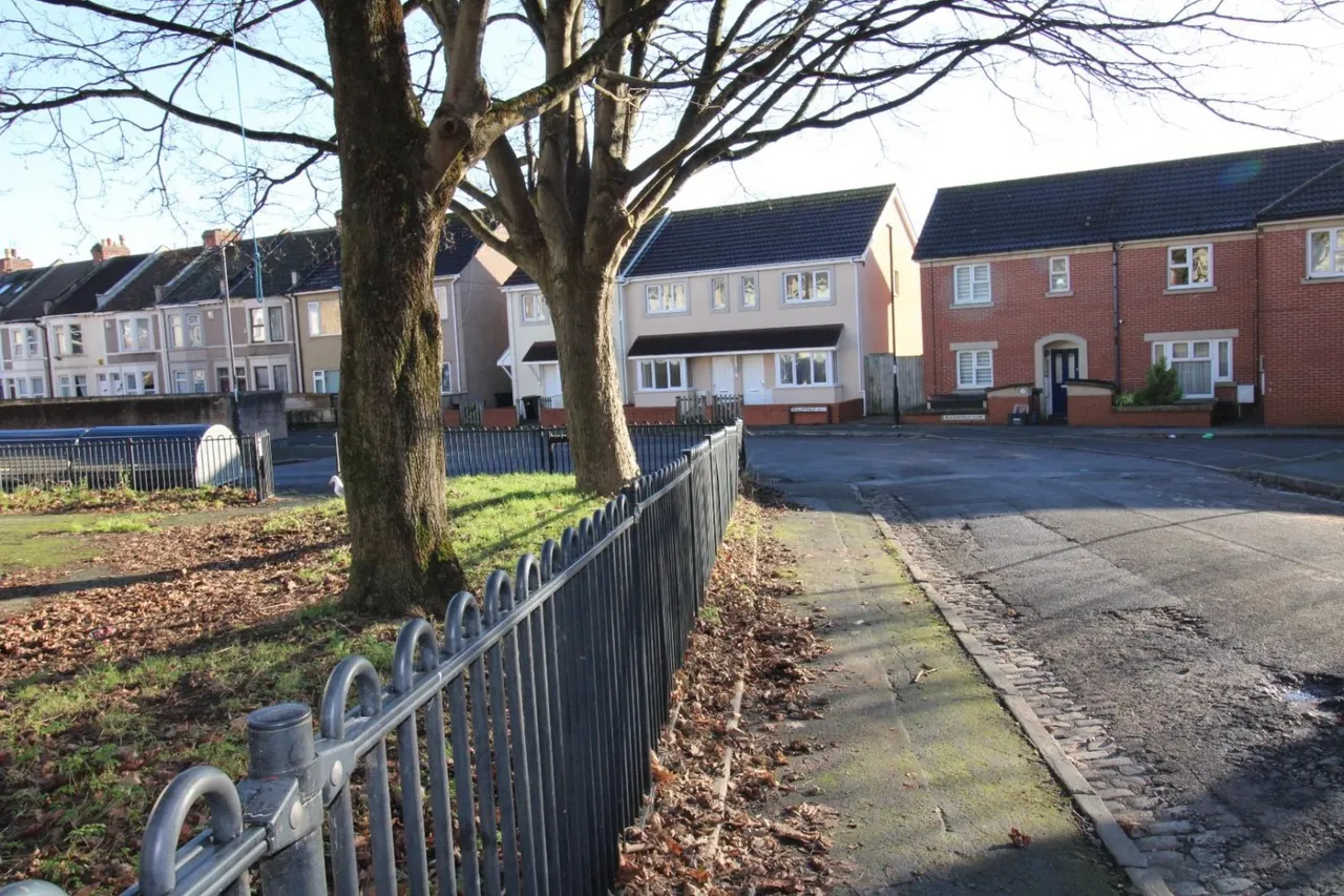 Beaconsfield Street, Bristol, BS5, photo 18