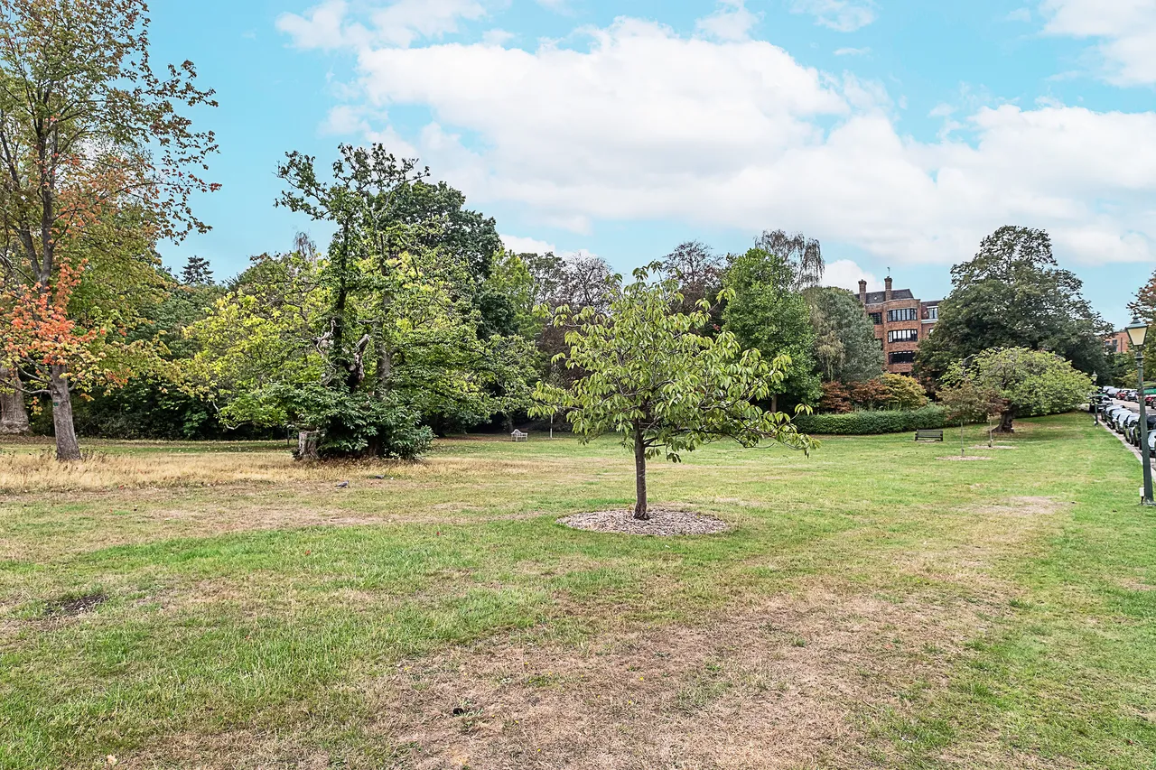 Manor Fields, London, SW15, photo 12