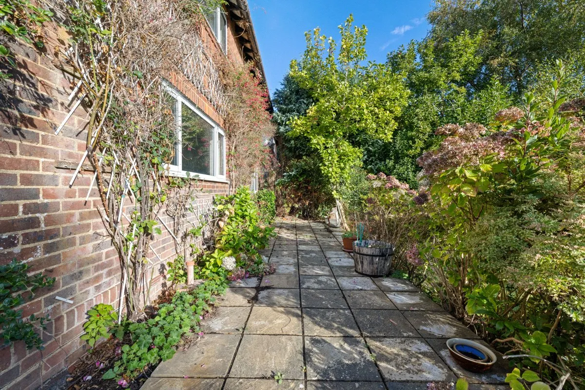 Peperham Road, Haslemere, GU27, photo 22