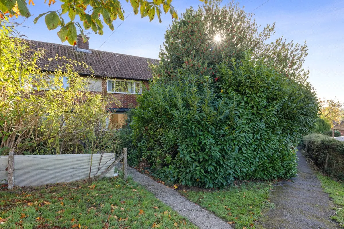 Peperham Road, Haslemere, GU27, photo 27