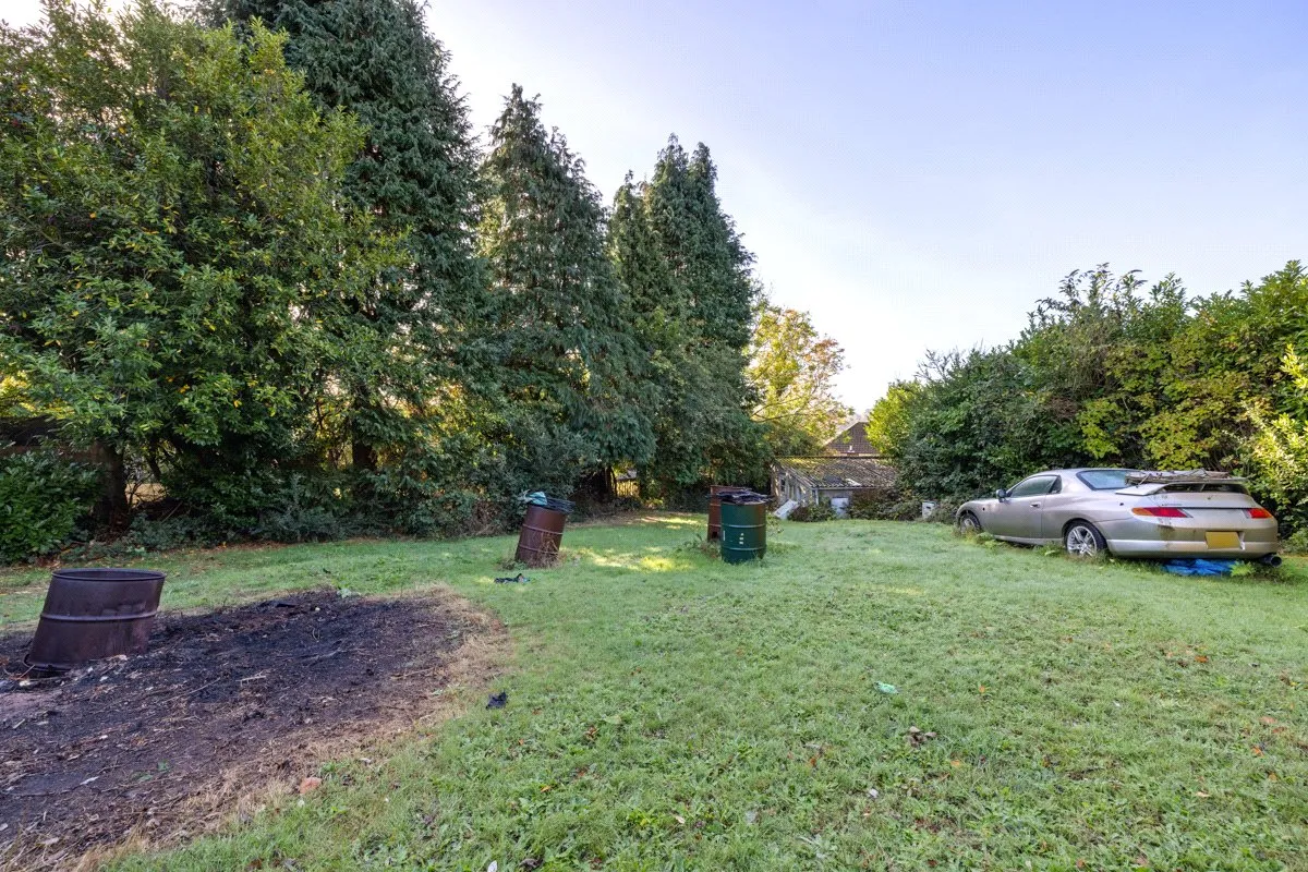 Peperham Road, Haslemere, GU27, photo 25