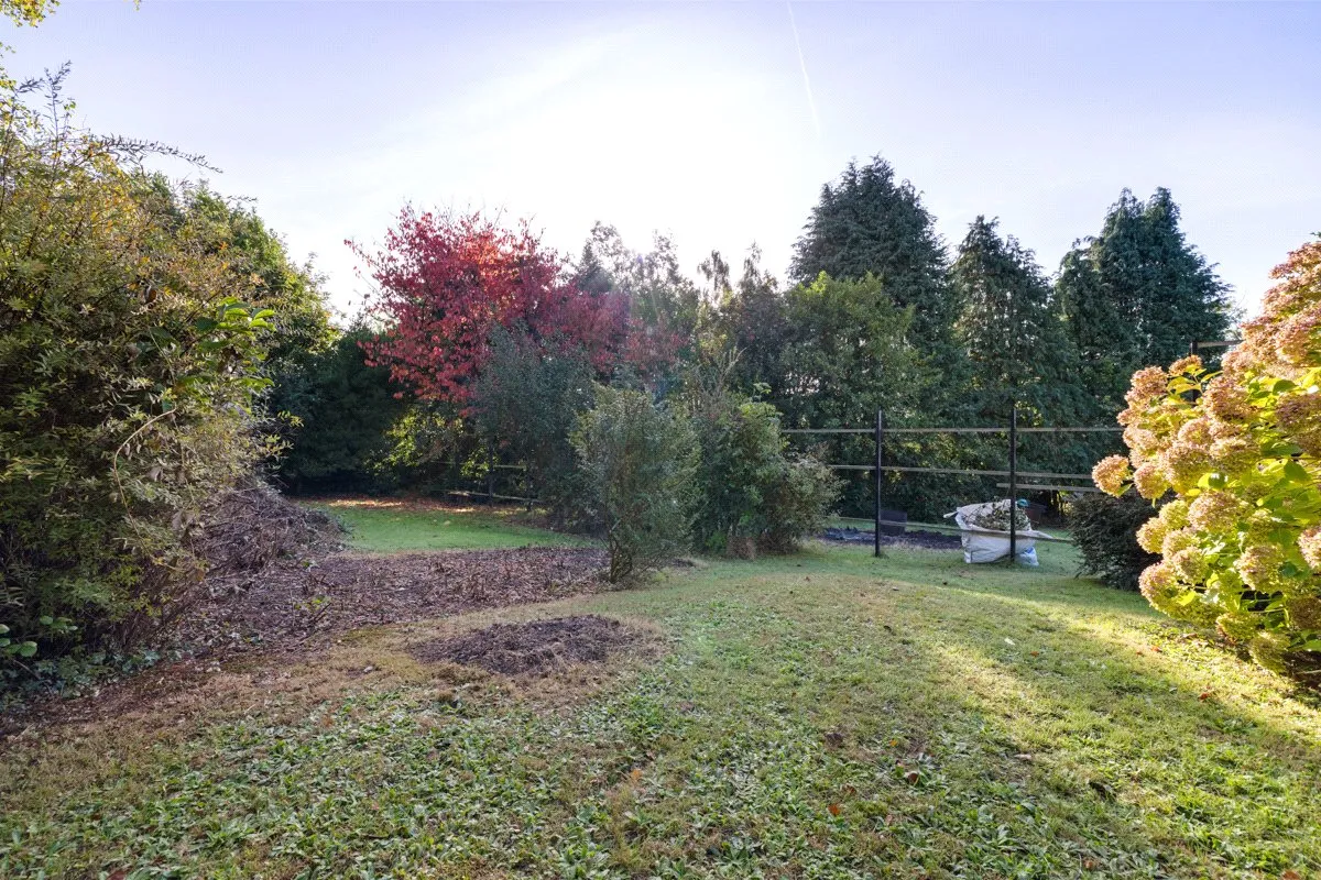 Peperham Road, Haslemere, GU27, photo 23