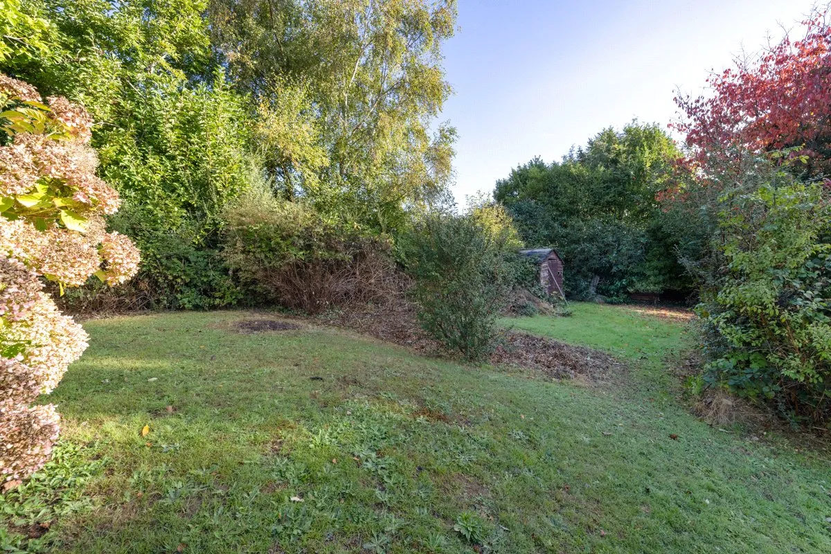 Peperham Road, Haslemere, GU27, photo 5