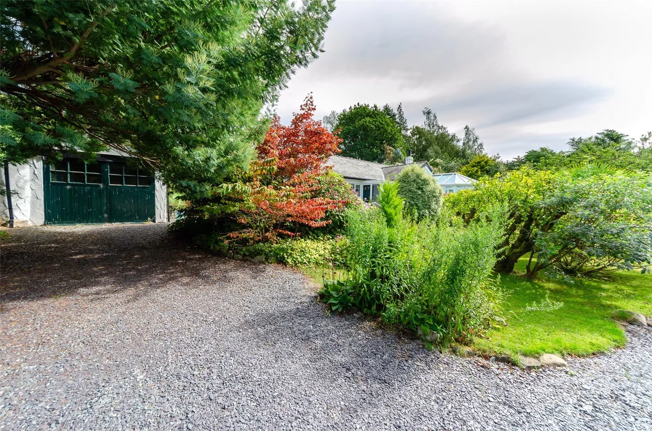 Llanbedr-y-Cennin, Conwy, LL32, photo 30