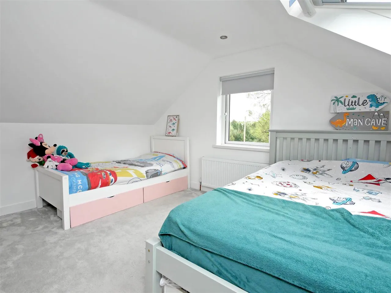 Mill Road West, Carryduff, BT8, photo 22