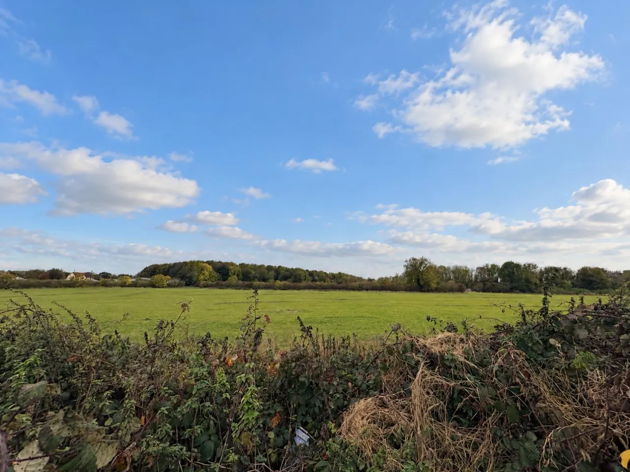 Woodland Crescent, Kelloe, DH6, photo 17