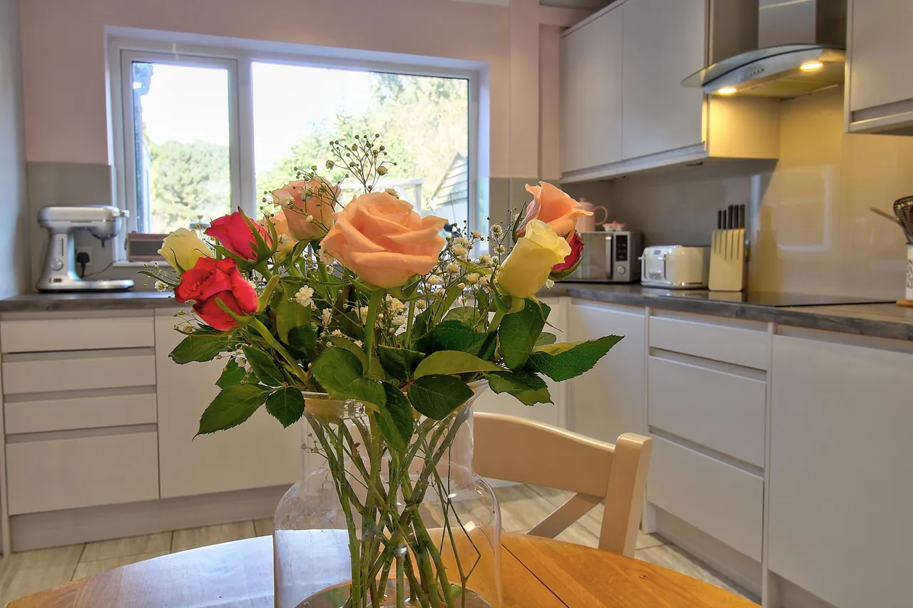 Ramsgate Drive, Ipswich, IP3, photo 5