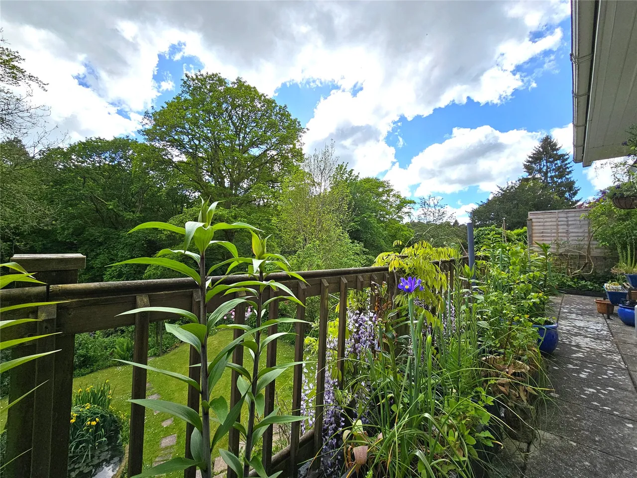 Hill Road, Grayshott, GU26, photo 23