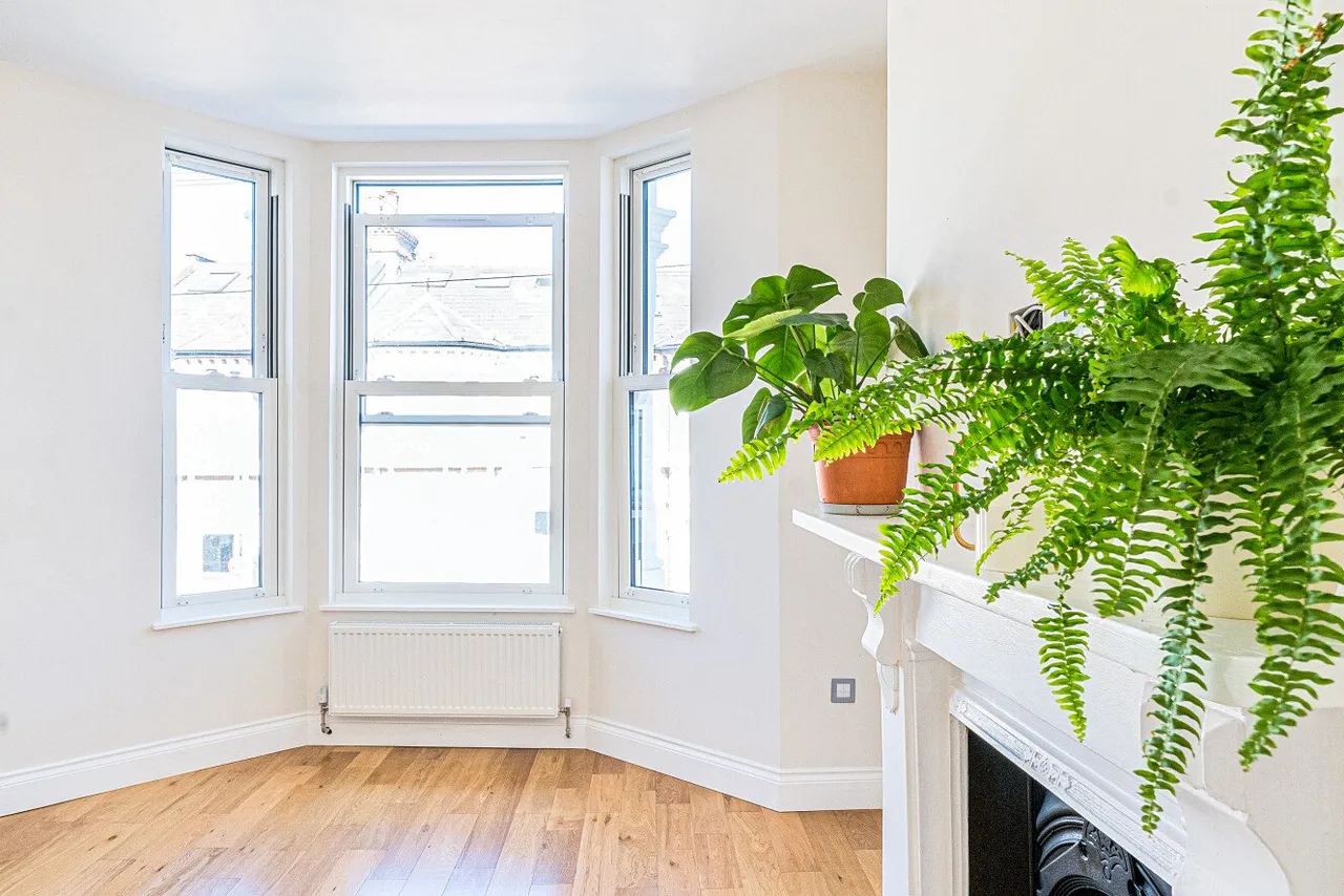Lavender Sweep, Battersea, London, SW11, photo 12