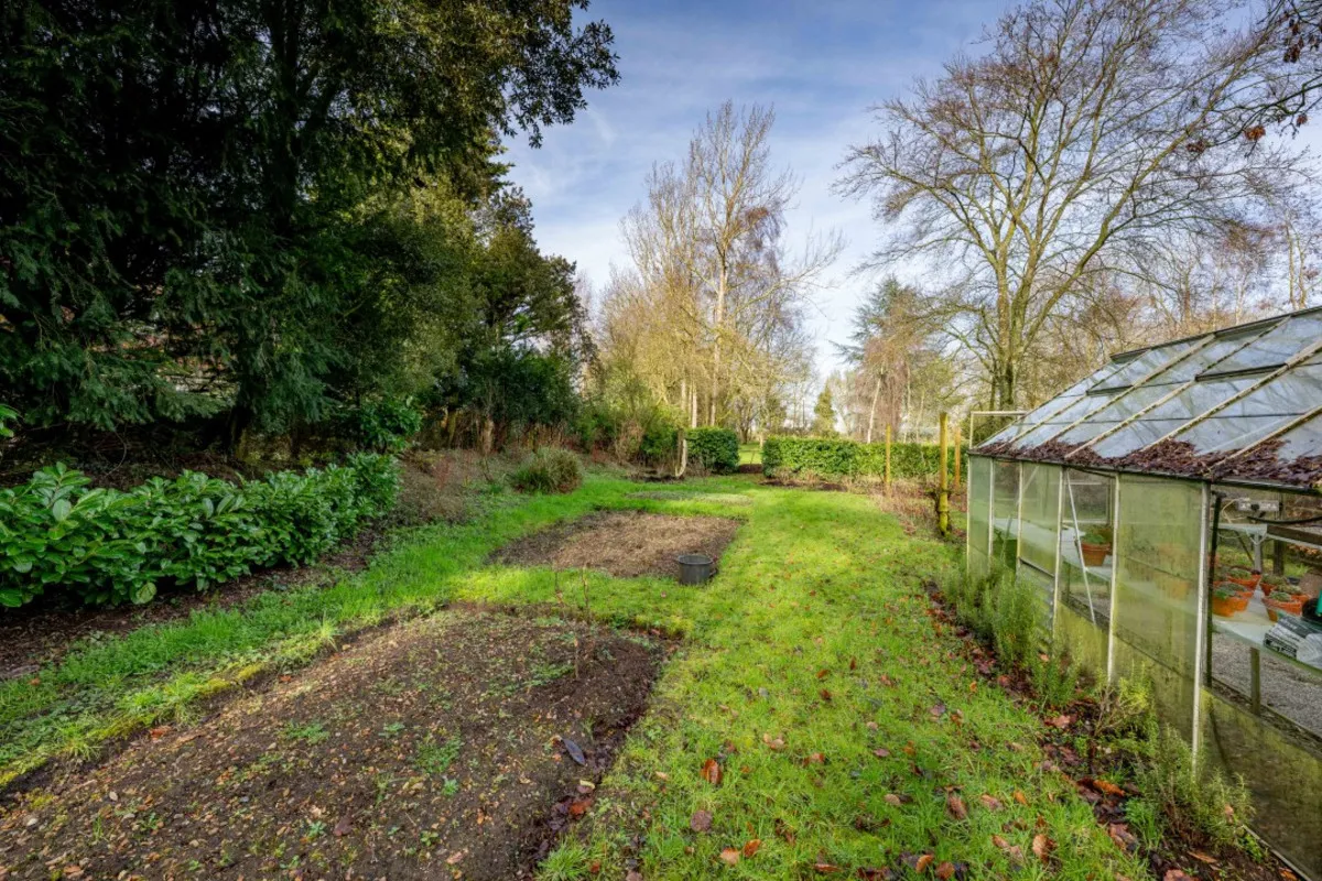 Stone Lane, Twyford, NR20, photo 34