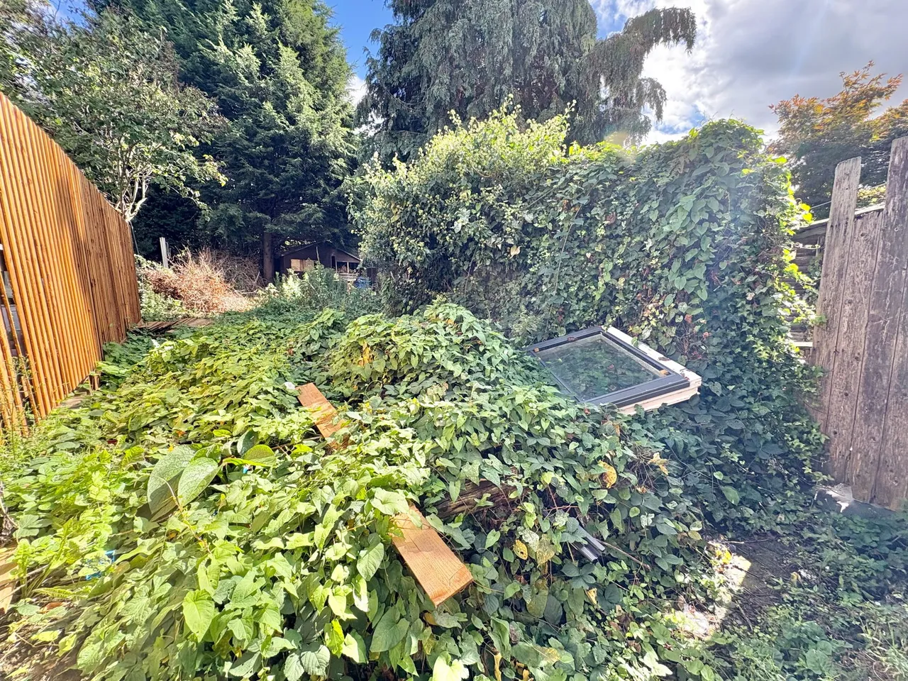 Johnson Road, Birmingham, B23, photo 13